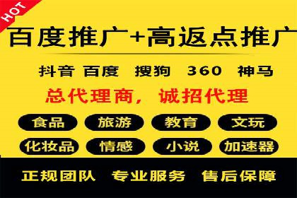 案例解读：网络推广与竞价策略